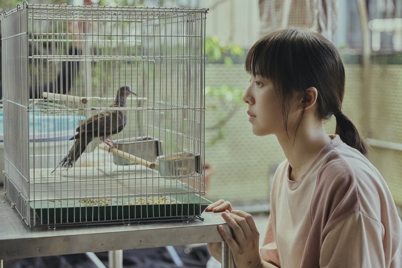 圖02：金馬影后鍾雪瑩與動物演員斑鳩有精彩對手戲。（相信音樂提供）.jpg