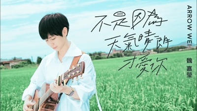 魏嘉瑩 - [ 不是因為天氣晴朗才愛你 ] Cover