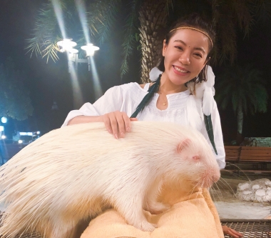 丁噹清邁慢活充電生活  一個人旅行豔遇不斷