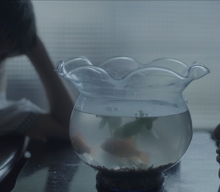 劉若英獻暖心新曲〈夜晚的光明〉MV   「小花計畫」開展首週末迎驚喜