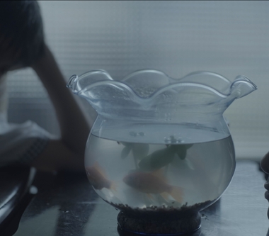 劉若英獻暖心新曲〈夜晚的光明〉MV   「小花計畫」開展首週末迎驚喜